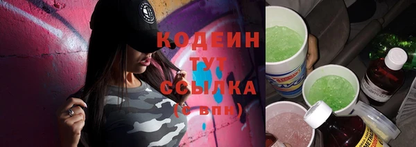 ECSTASY Бородино