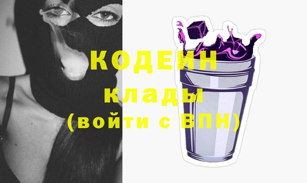 ECSTASY Бородино