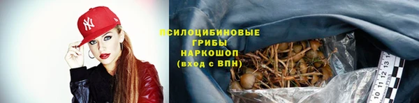 ПСИЛОЦИБИНОВЫЕ ГРИБЫ Верхний Тагил