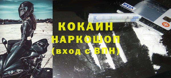 ПСИЛОЦИБИНОВЫЕ ГРИБЫ Верхний Тагил