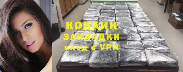ECSTASY Бородино